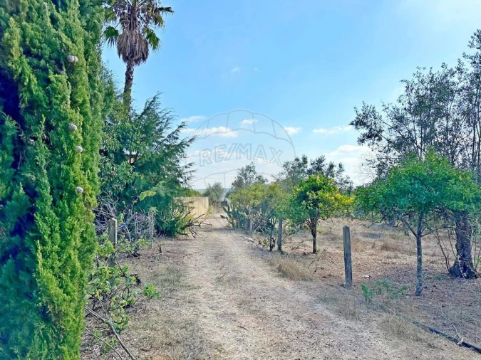 Moradia T2 para Venda em Martinchel Foto 23