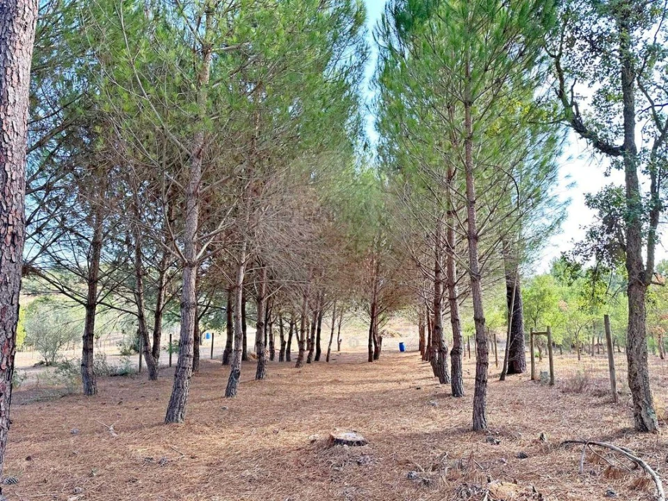 Moradia T2 para Venda em Martinchel Foto 46