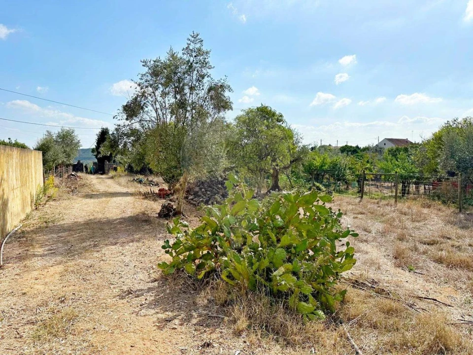 Moradia T2 para Venda em Martinchel Foto 38