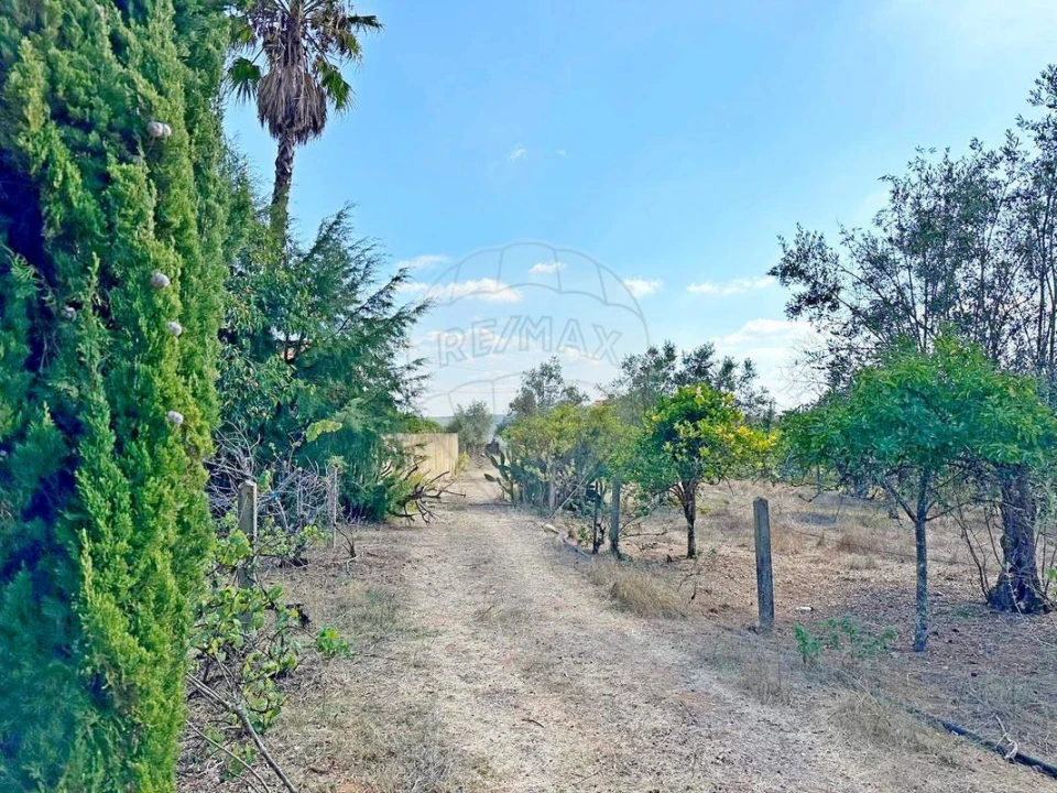 Moradia T2 para Venda em Martinchel Foto 23