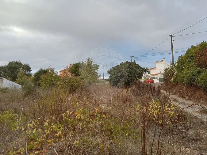 Terreno para Venda em Cartaxo e Vale da Pinta Foto 1