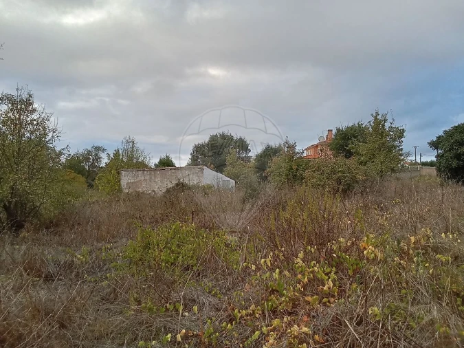 Terreno para Venda em Cartaxo e Vale da Pinta Foto 3
