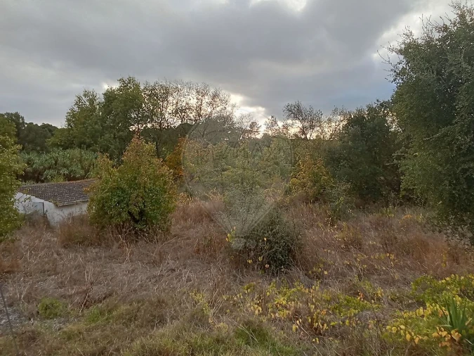 Terreno para Venda em Cartaxo e Vale da Pinta Foto 7