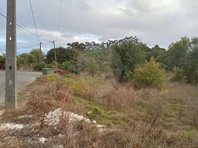 Terreno para Venda em Cartaxo e Vale da Pinta Foto 11