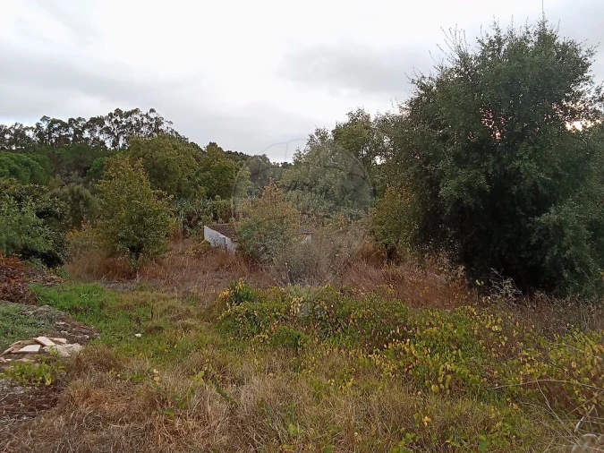 Terreno para Venda em Cartaxo e Vale da Pinta Foto 12