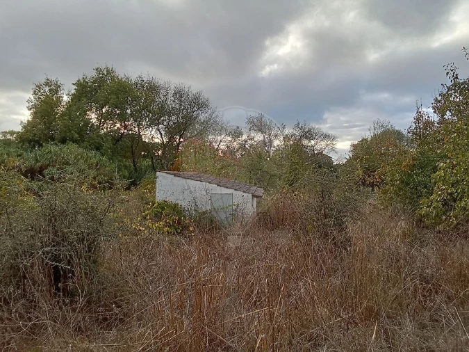 Terreno para Venda em Cartaxo e Vale da Pinta Foto 8