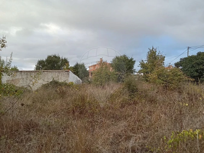 Terreno para Venda em Cartaxo e Vale da Pinta Foto 4