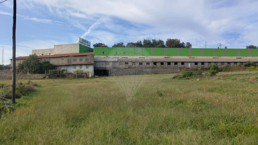 Armazém para Venda em Macieira de Cambra Foto 2