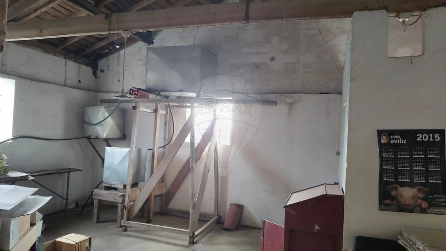 Armazém para Venda em Macieira de Cambra Foto 11