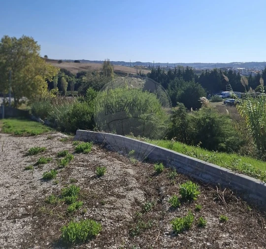 Negócio para Venda em Lourinhã e Atalaia Foto 3