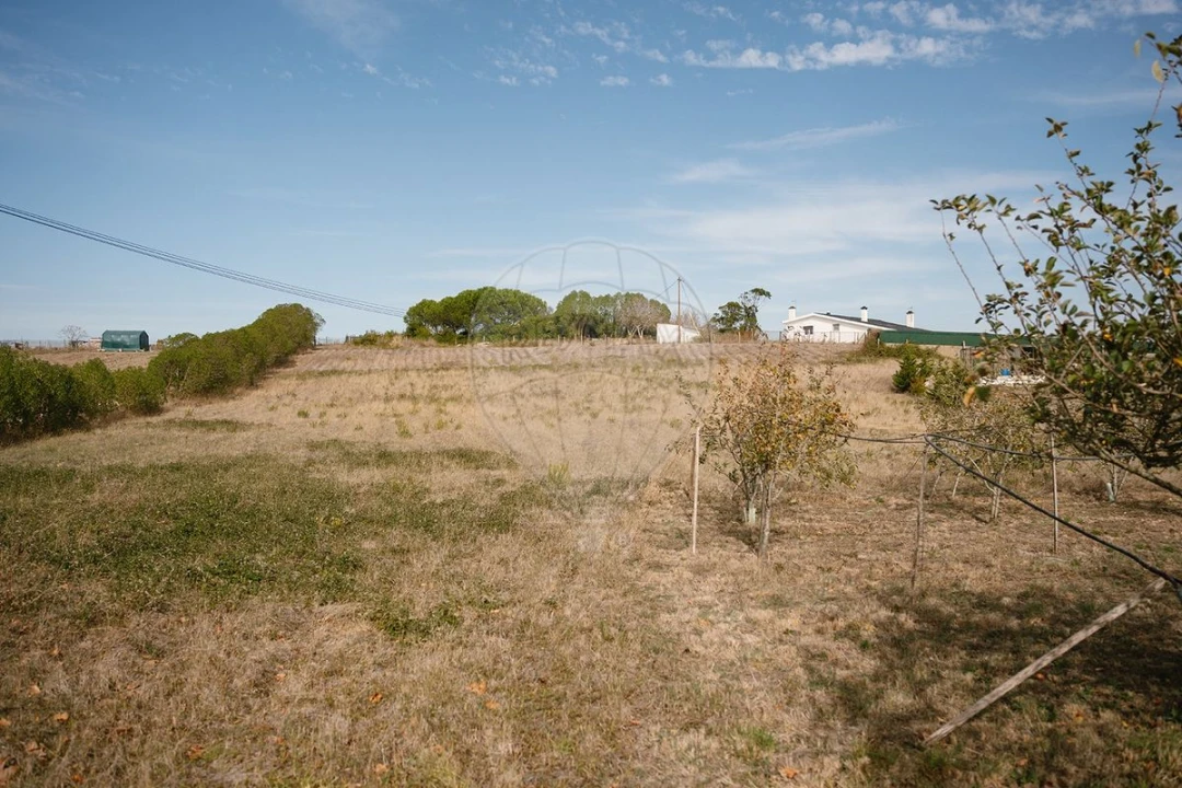 Terreno para Venda em Sobral de Monte Agraço Foto 5