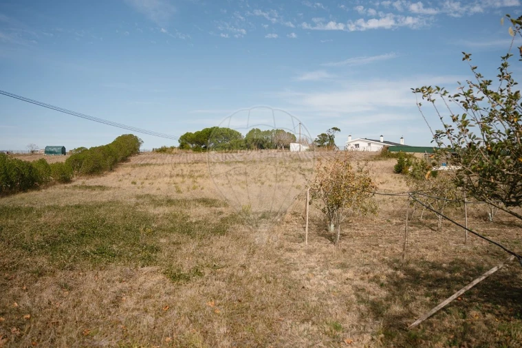Terreno para Venda em Sobral de Monte Agraço Foto 5