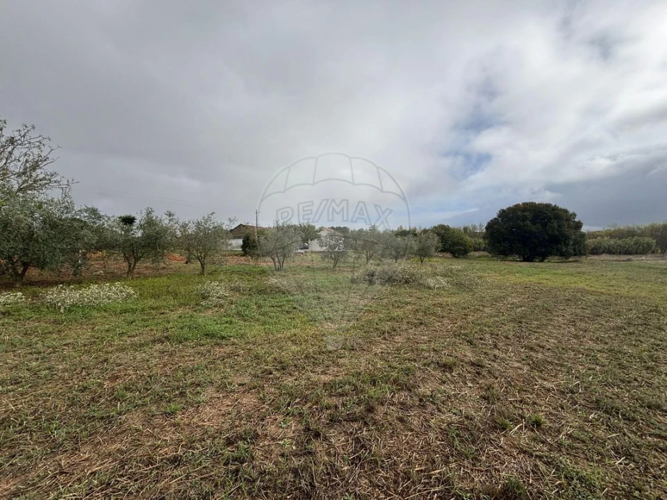 Terreno para Venda em Alcoentre Foto 4