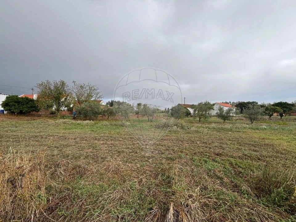 Terreno para Venda em Alcoentre Foto 1