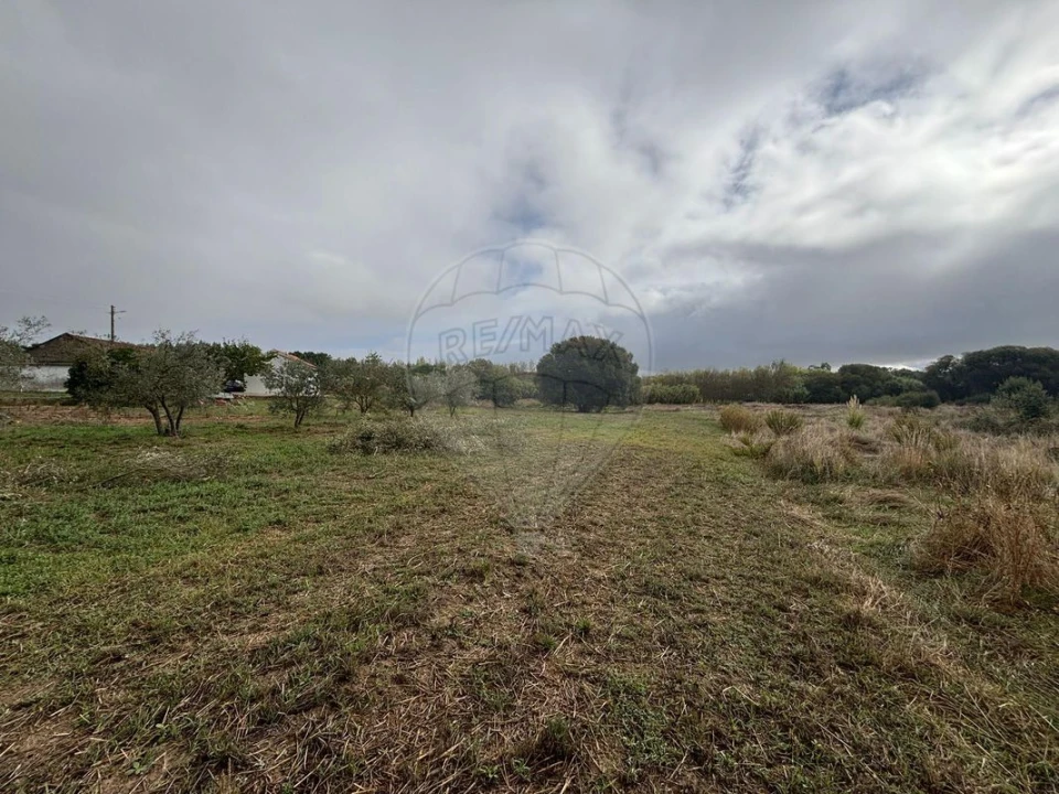 Terreno para Venda em Alcoentre Foto 3