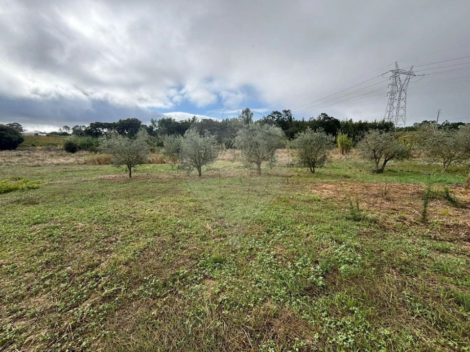 Terreno para Venda em Alcoentre Foto 8