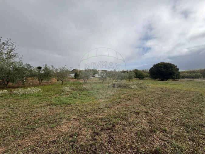 Terreno para Venda em Alcoentre Foto 4