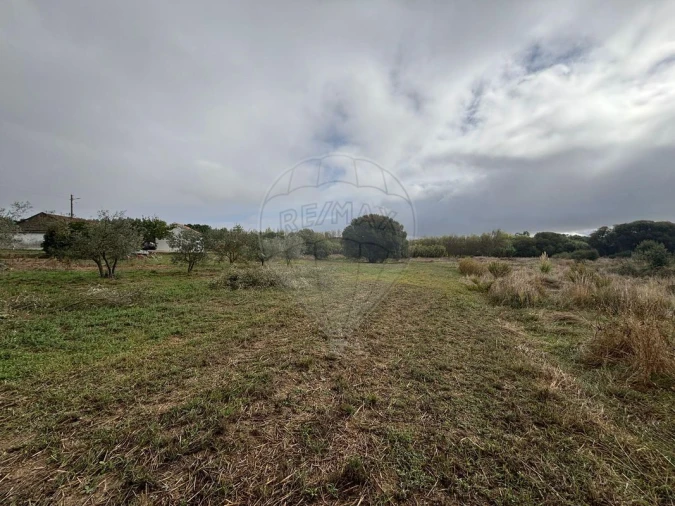 Terreno para Venda em Alcoentre Foto 3