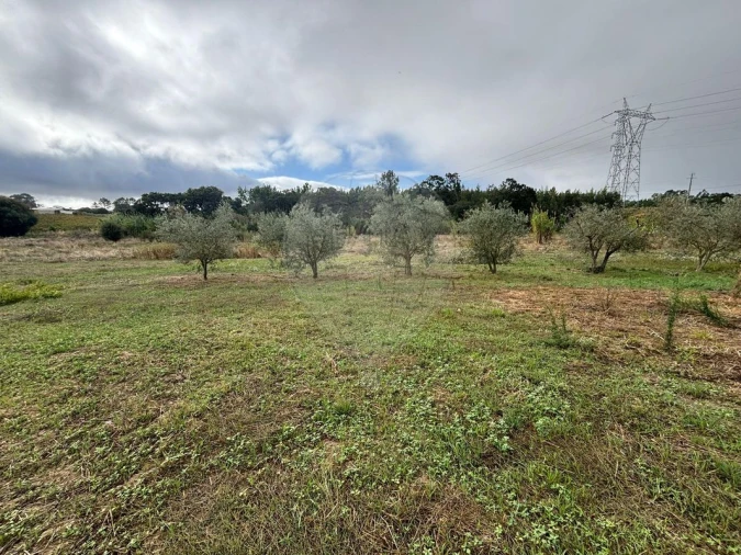 Terreno para Venda em Alcoentre Foto 8