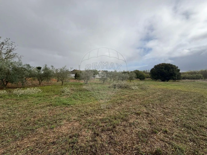 Terreno para Venda em Alcoentre Foto 5