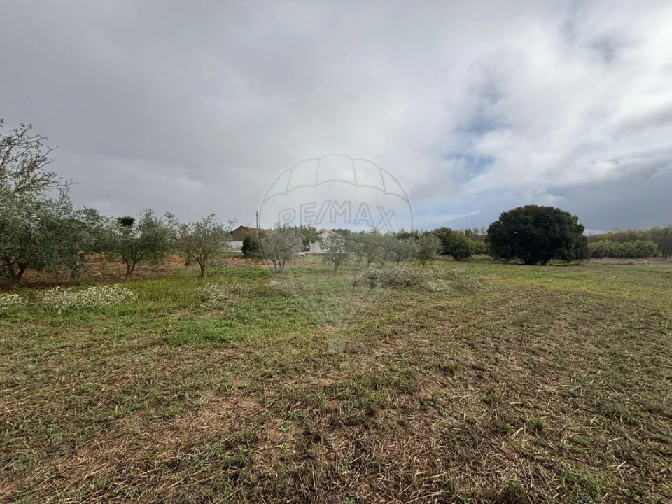 Terreno para Venda em Alcoentre Foto 5