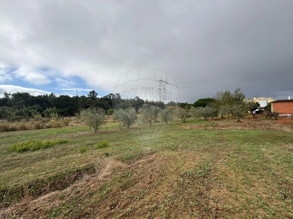 Terreno para Venda em Alcoentre Foto 2