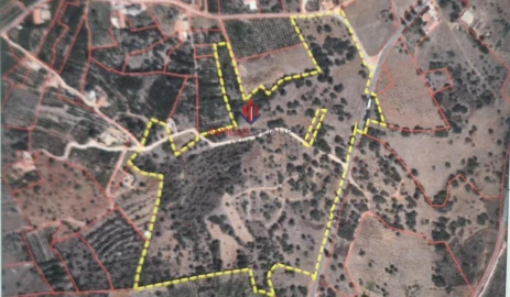 Terreno para Venda em Silves