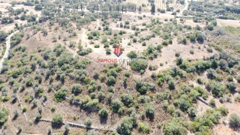 Terreno para Venda em Silves
