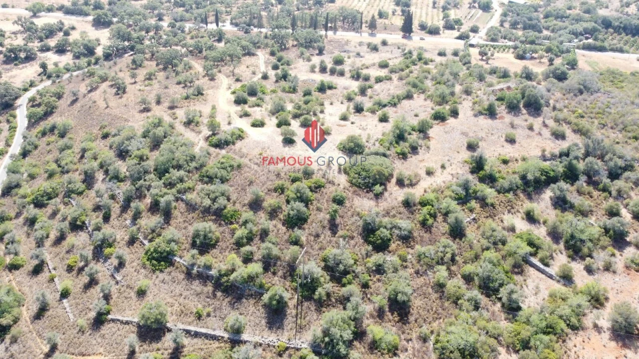 Terreno para Venda em Silves Foto 2