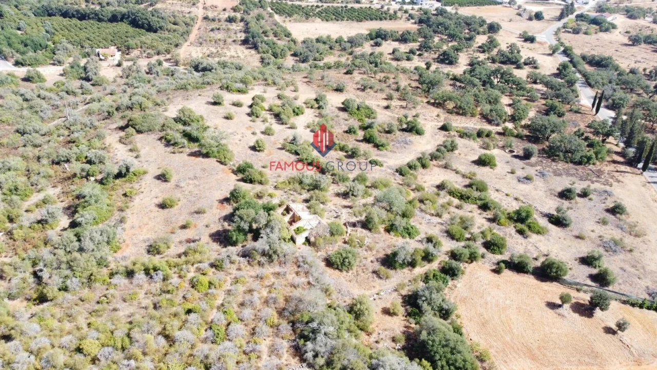 Terreno para Venda em Silves Foto 7