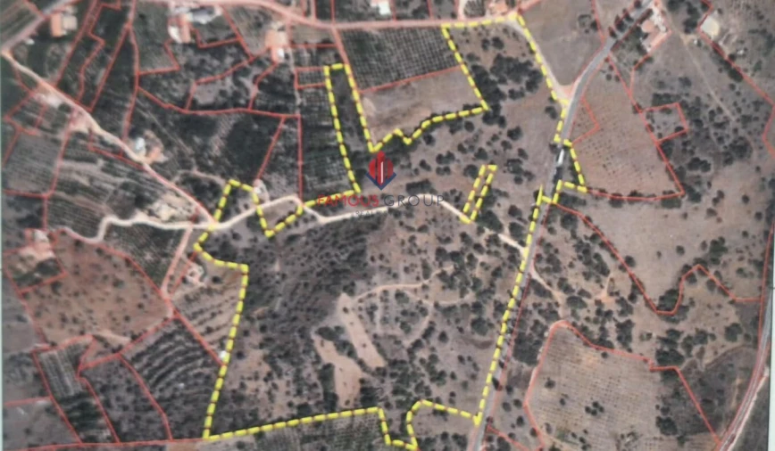 Terreno para Venda em Silves Foto 12