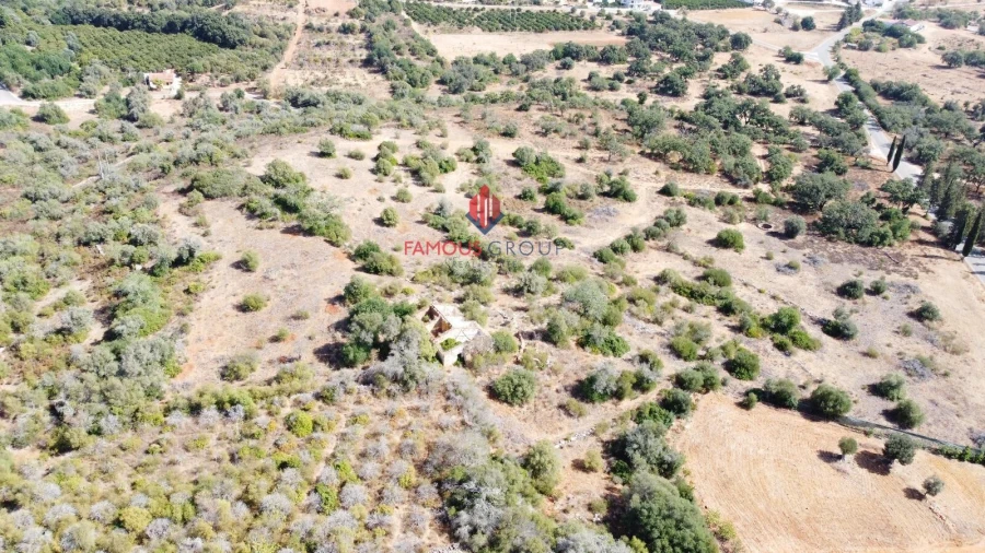 Terreno para Venda em Silves Foto 7