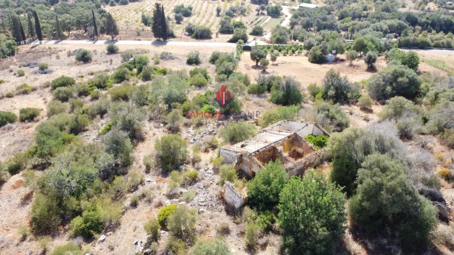 Terreno para Venda em Silves Foto 4