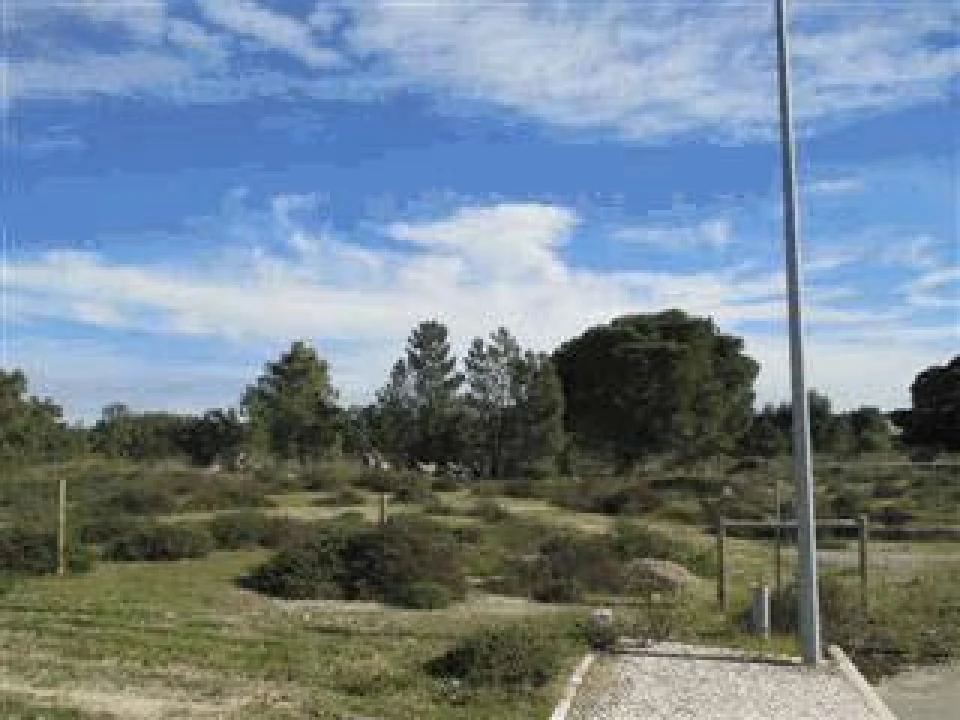 Terreno Agricola ou Rústico para Venda em Alhos Vedros Foto 4