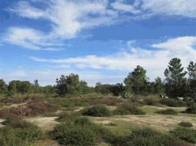 Terreno Agricola ou Rústico para Venda em Alhos Vedros Foto 3