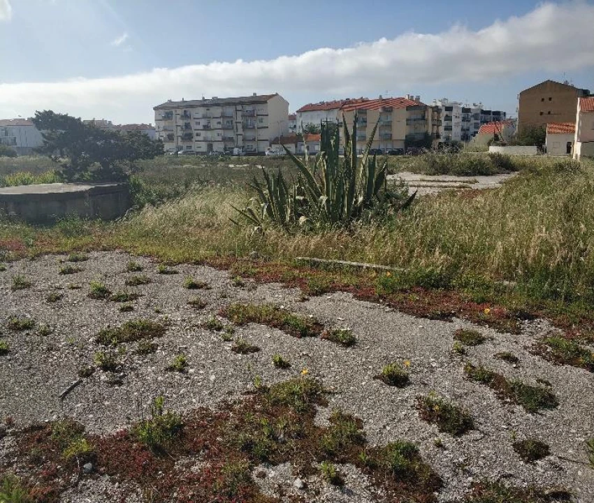 Terreno para Venda em São Pedro Foto 5