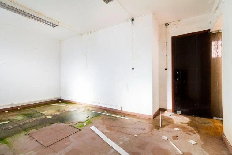 Armazém para Venda em Maceira Foto 7