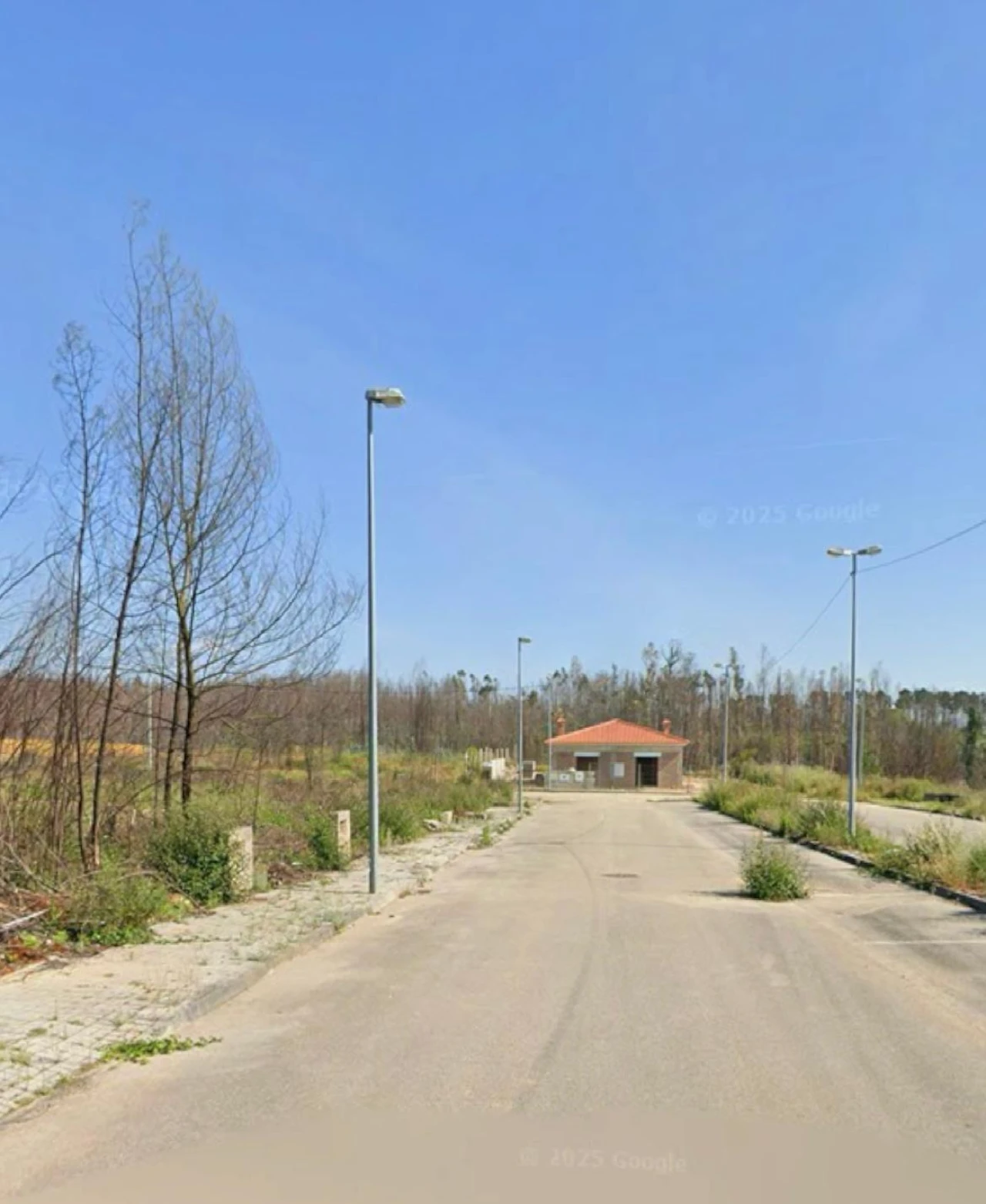 Terreno para Venda em Águeda e Borralha Foto 4