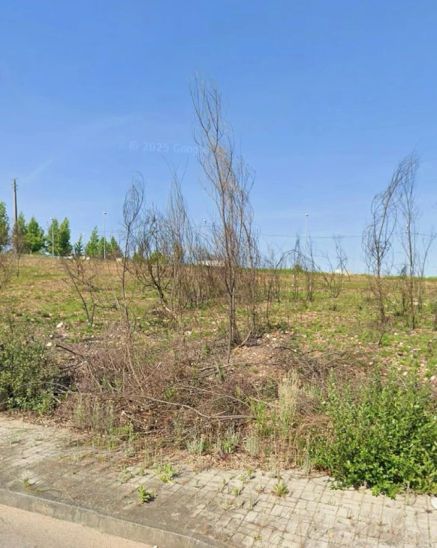 Terreno para Venda em Águeda e Borralha Foto 3