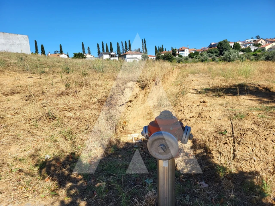 Terreno para Venda em Insua Foto 5