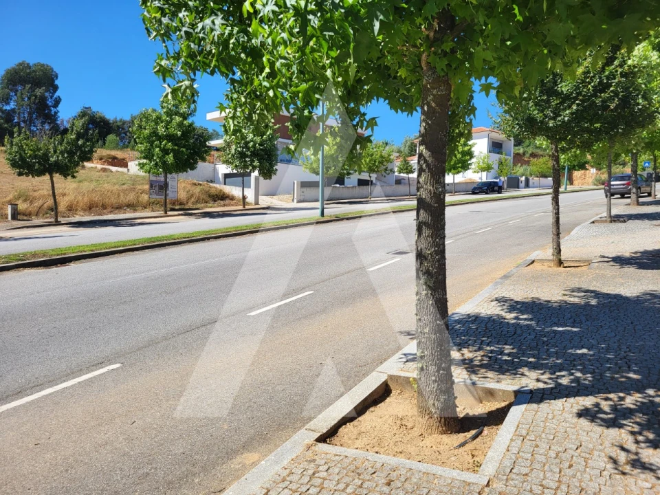 Terreno para Venda em Insua Foto 11