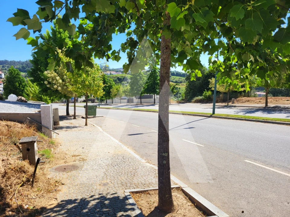 Terreno para Venda em Insua Foto 12