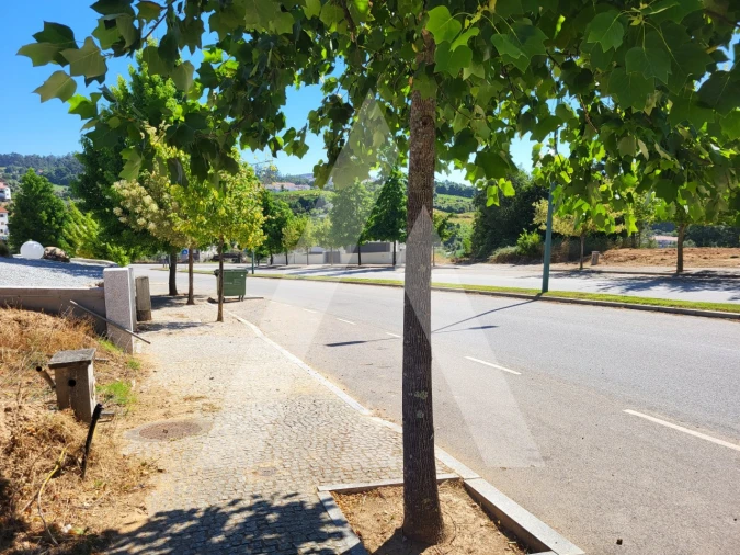 Terreno para Venda em Insua Foto 12