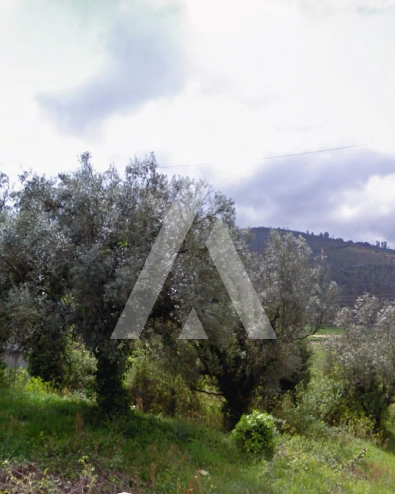 Terreno para Venda em Gondar e Orbacém Foto 6