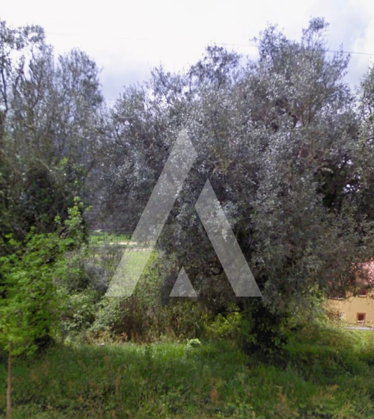 Terreno para Venda em Gondar e Orbacém Foto 7