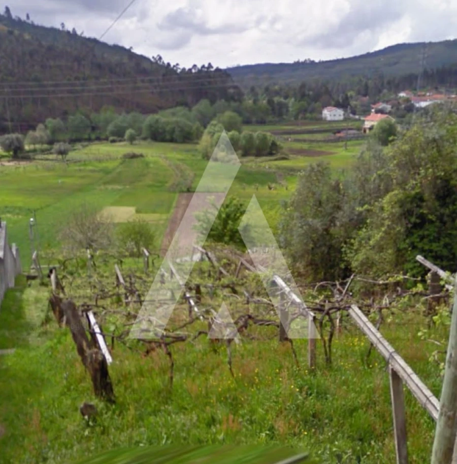 Terreno para Venda em Gondar e Orbacém Foto 1