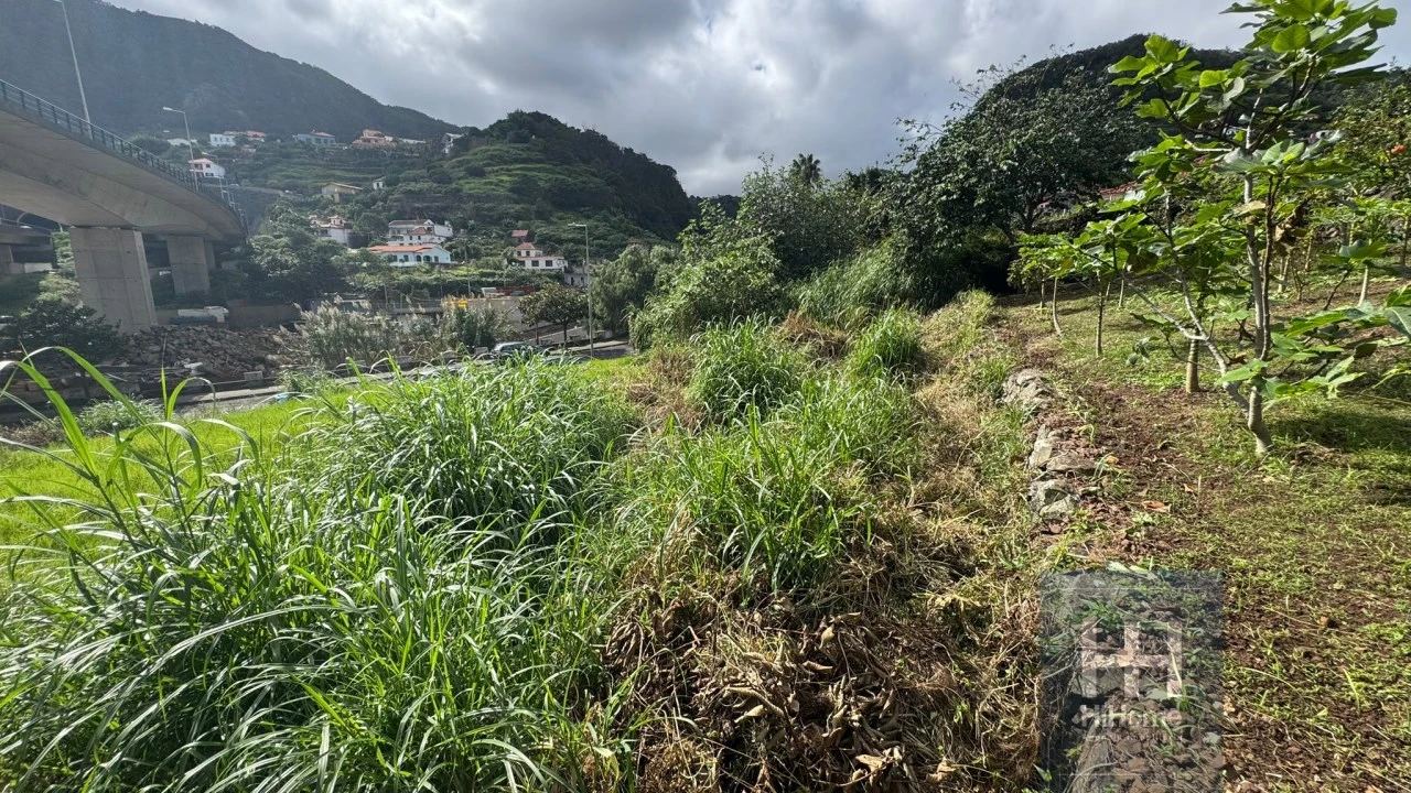 Terreno para Venda em Machico Foto 10