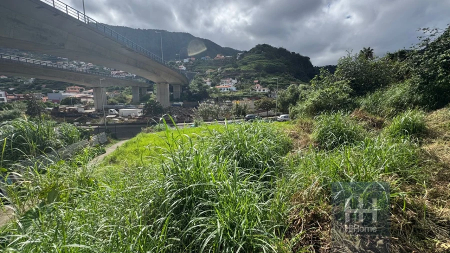 Terreno para Venda em Machico Foto 9