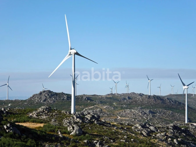 Terreno para Venda em Guardão Foto 14
