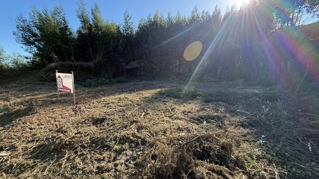 Terreno para Venda em Airão Santa Maria, Airão São João e Vermil Foto 8